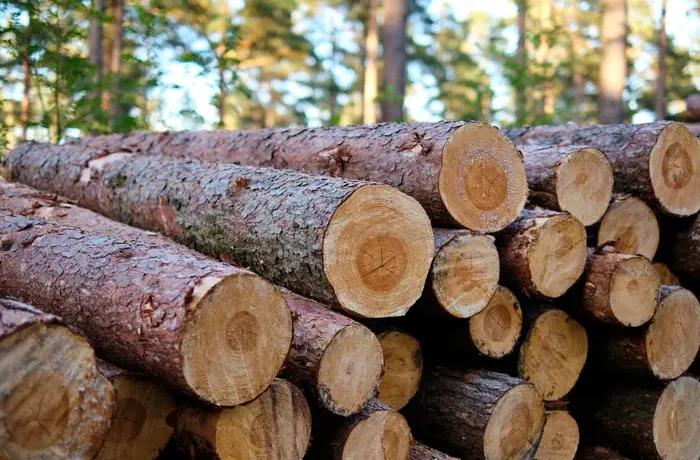 В Україні стартував прийом заяв на виплати для купівлі дров та вугілля