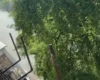У Печерському районі стався вибух у квартирі (відео)
