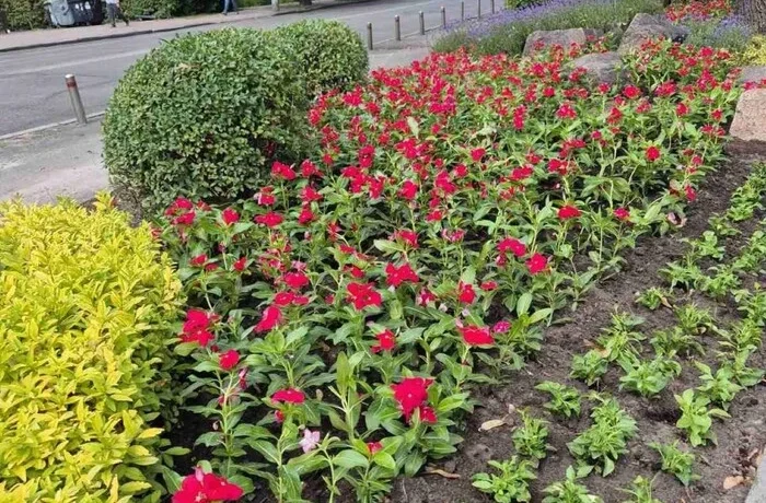 На Лук’янівці комунальники оновлюють сквер імені Івана Котляревського