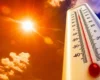 Польщу накрила рекордна спека: синоптики зафіксували +40,5°C
