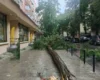Негода наробила лиха в Києві: фото, відео