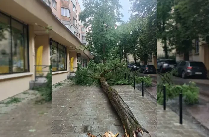 Негода наробила лиха в Києві: фото, відео
