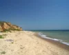 Екологія Чорного моря покращилася під час війни. Науковець пояснив парадокс