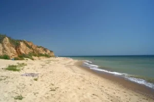 Екологія Чорного моря покращилася під час війни. Науковець пояснив парадокс