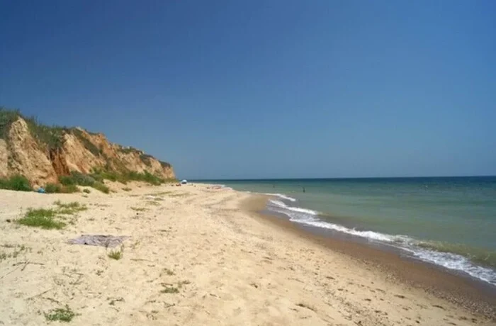 Екологія Чорного моря покращилася під час війни. Науковець пояснив парадокс