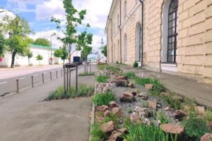 Біля Мистецького Арсеналу в Києві з’явився дощовий садок: як він працює