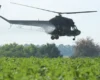 У Краснодарському краї впав вертоліт Мі-2