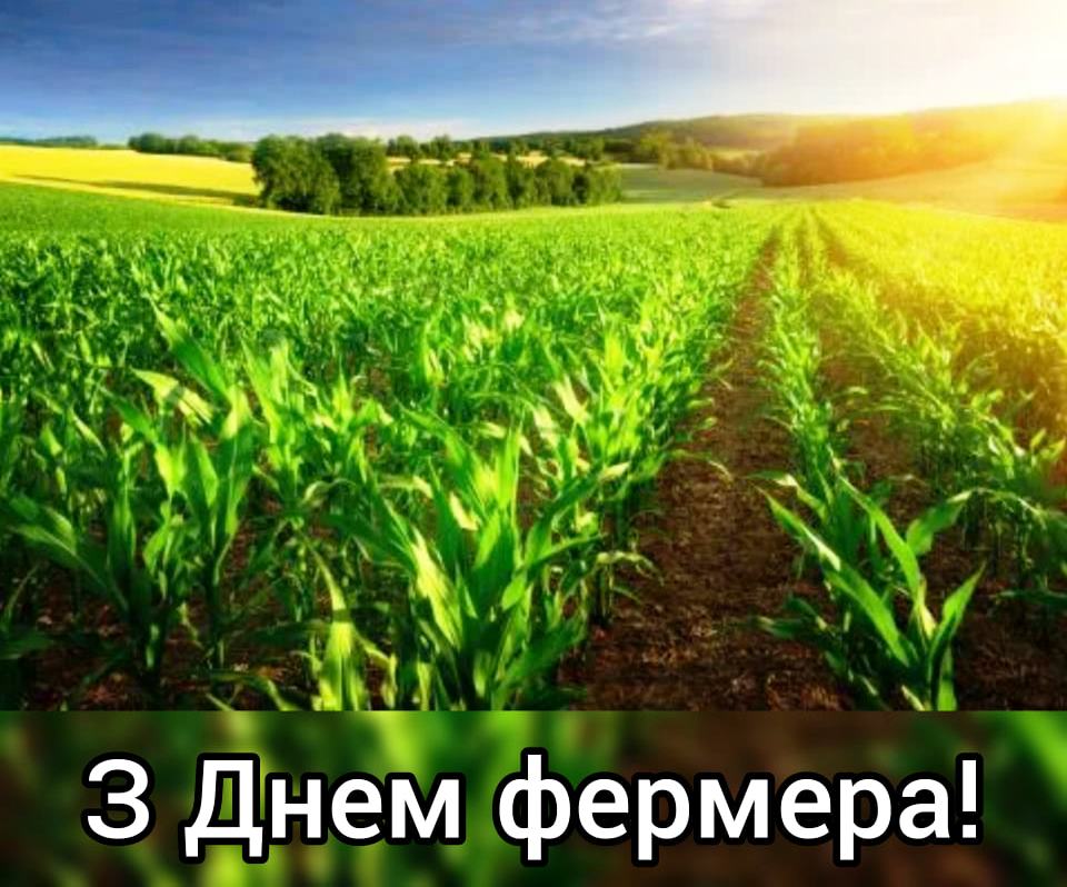 День фермера 2026: історія свята, цифри стійкості під час війни та найкращі привітання фото 2