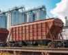 Як вплине підвищення тарифів «Укрзалізниці» на ціну тонни зерна: аналітика