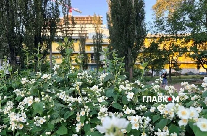 Дощі відступають, іде літнє тепло: як зміниться погода в Києві до 20 червня