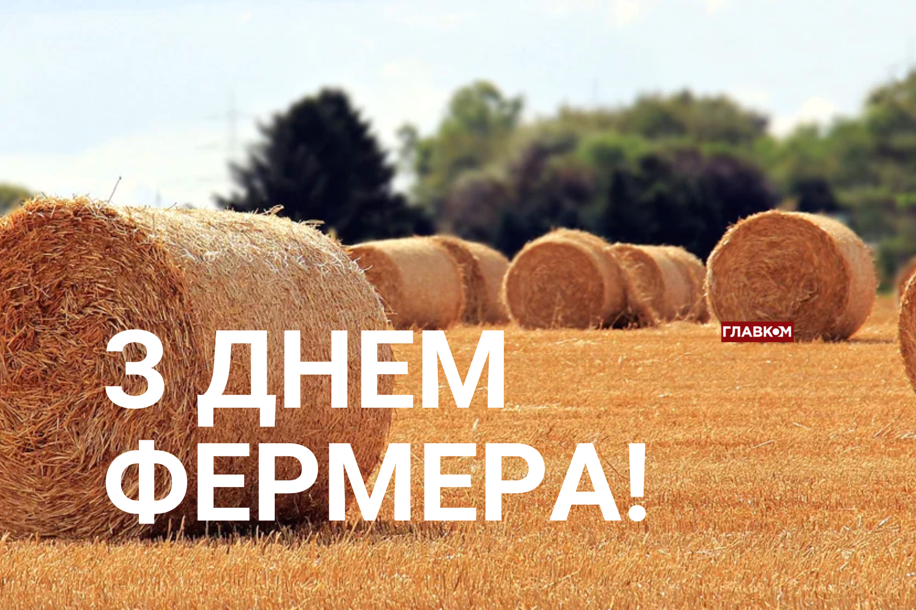 День фермера 2026: історія свята, цифри стійкості під час війни та найкращі привітання фото 6