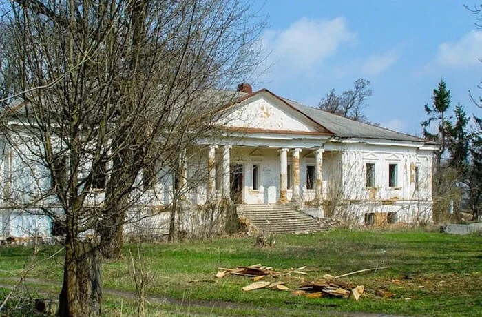 Заріс деревами та перетворився на руїни. Що залишилося від палацу родини Рильських