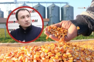 Зернова піраміда Сольського? Історія карколомної афери та арешту ексміністра