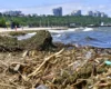 Науковець пояснив, як Чорне море швидко віновилося після підриву Каховської ГЕС
