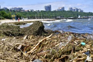 Науковець пояснив, як Чорне море швидко віновилося після підриву Каховської ГЕС