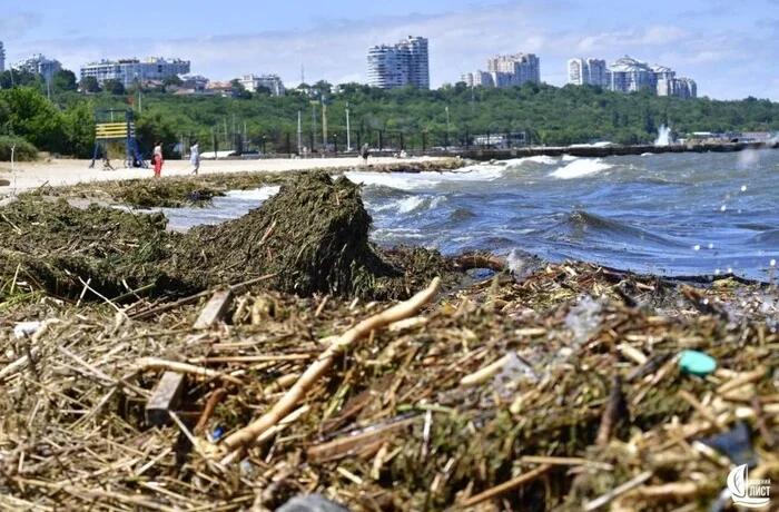 Науковець пояснив, як Чорне море швидко віновилося після підриву Каховської ГЕС