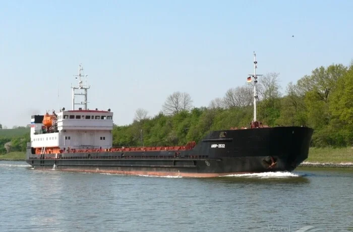 Дрони вразили два вантажні судна в Азовському морі: є загиблі