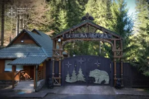 Дача Медведчука на 220 га державного лісу: на Закарпатті отримали підозру посадовці
