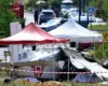 У Франції розбився літак із парашутистами: загинули всі 11 людей на борту
