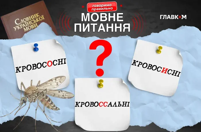 «Кровосісі» Азарова. Мовознавиця пояснила, як правильно говорити про комарів