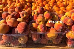 У Києві на вихідних 27-28 червня відбудуться продовольчі ярмарки (адреси)