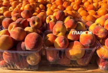 У Києві на вихідних 27-28 червня відбудуться продовольчі ярмарки (адреси)