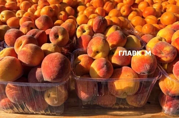 У Києві на вихідних 27-28 червня відбудуться продовольчі ярмарки (адреси)