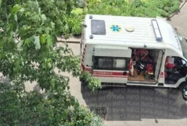 У Деснянському районі столиці бійцівський пес напав на перехожу