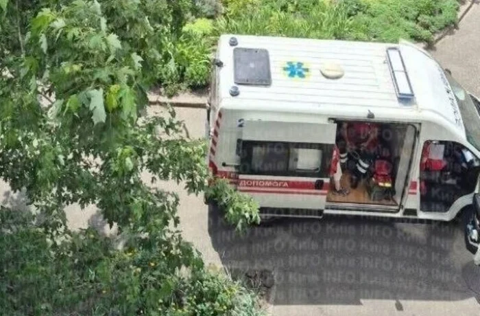 У Деснянському районі столиці бійцівський пес напав на перехожу
