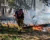 Пожежа у Чорнобильській зоні: рятувальники виявили нове задимлення (фото)