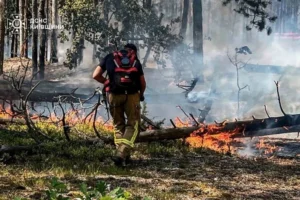 Пожежа у Чорнобильській зоні: рятувальники виявили нове задимлення (фото)