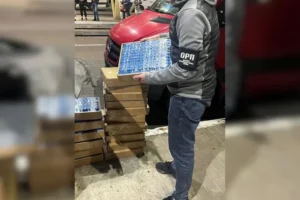 На Львівщині митники затримали велику партію незадекларованих акумуляторів із Варшави