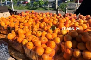 У Києві 16-21 червня відбудуться продовольчі ярмарки (адреси)