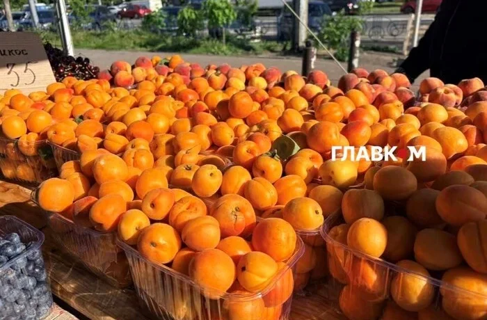 У Києві 16-21 червня відбудуться продовольчі ярмарки (адреси)
