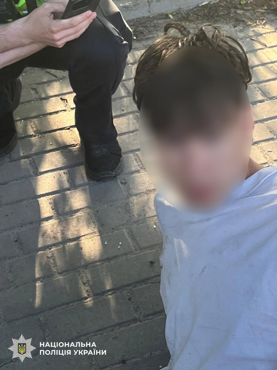 Смертельна ДТП і вбивство матері: на Львівщині затримано 24-річного чоловіка фото 1