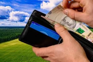 Податок на земельний пай? Чому українські пенсіонери хапаються за серце
