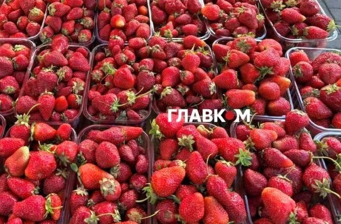 У Києві на вихідних 20-21 травня відбудуться продовольчі ярмарки (адреси)