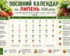 Посівний календар на липень 2026 року: що сіяти, коли доглядати за рослинами та які роботи провести на городі