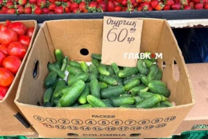 На столичних ринках з’явилися українські огірки за доступними цінами: огляд