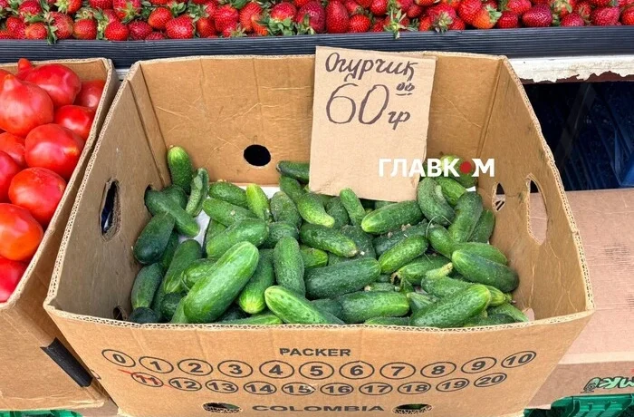 На столичних ринках з’явилися українські огірки за доступними цінами: огляд