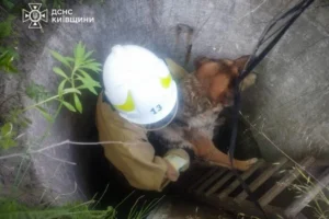 На Обухівщині рятувальники дістали собаку з глибокого колодязя