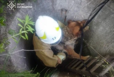 На Обухівщині рятувальники дістали собаку з глибокого колодязя