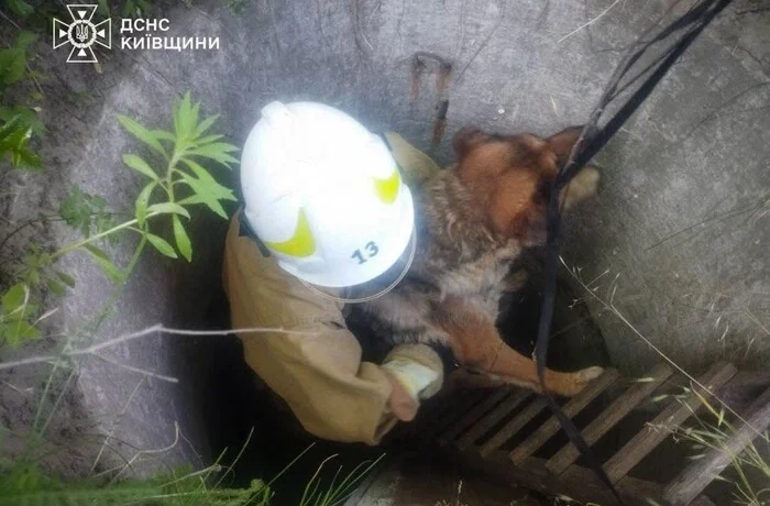 На Обухівщині рятувальники дістали собаку з глибокого колодязя