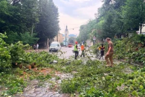 Повалені дерева та побиті автівки. Мер Львова показав наслідки негоди