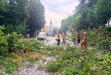 Повалені дерева та побиті автівки. Мер Львова показав наслідки негоди