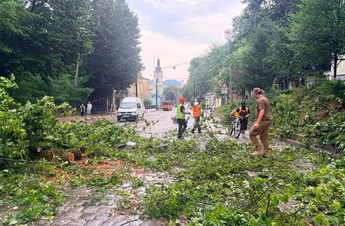 Повалені дерева та побиті автівки. Мер Львова показав наслідки негоди