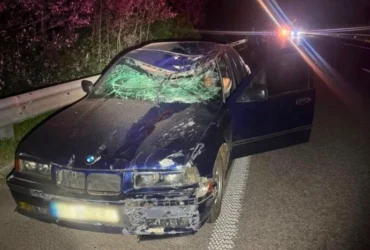 На Обухівщині автомобіль BMW збив велосипедиста, потерпілий помер у лікарні