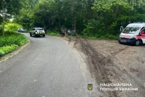 На Київщині п’яний водій врізався в дерево, його пасажир загинув