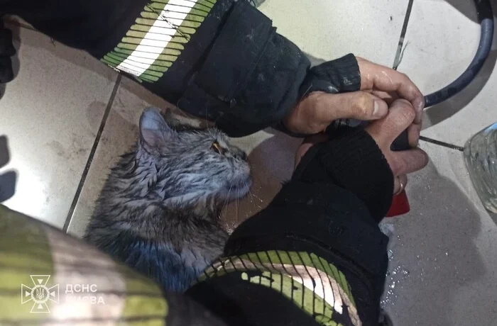 Пожежа на Воскресенському проспекті: рятувальники винесли з вогню чоловіка та кота (фото)