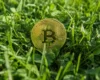 Біткоїн вперше за понад рік впав нижче $60 тис. – винні чипи та AI-акції